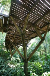 estrutura em árvore de madeira pequiá reforçada com chapa e parafusos de aço passantes deixados aparentes.  Foto: Gesto Arquitetura