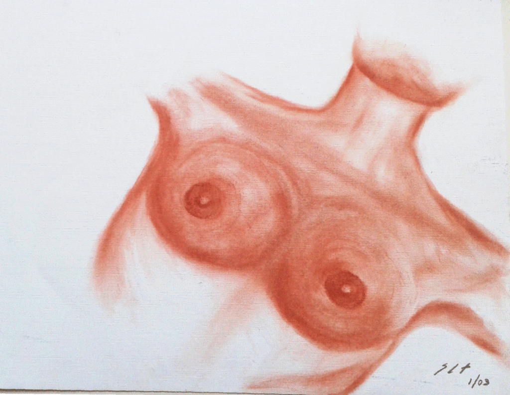 Seios Frutos, Técnica lápis de cor s/papel tela, dimensões 297x210mm, 2003