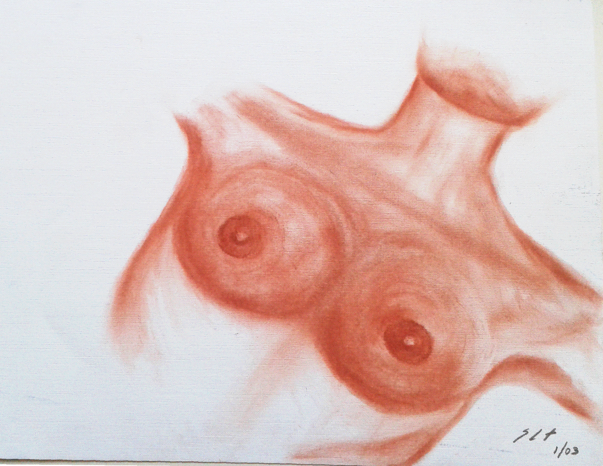 Seios Frutos, Técnica lápis de cor s/papel tela, dimensões 297x210mm, 2003