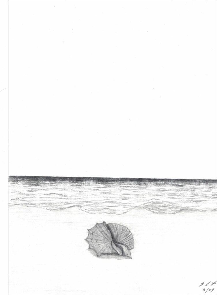 o_mistério_da_concha_desenho