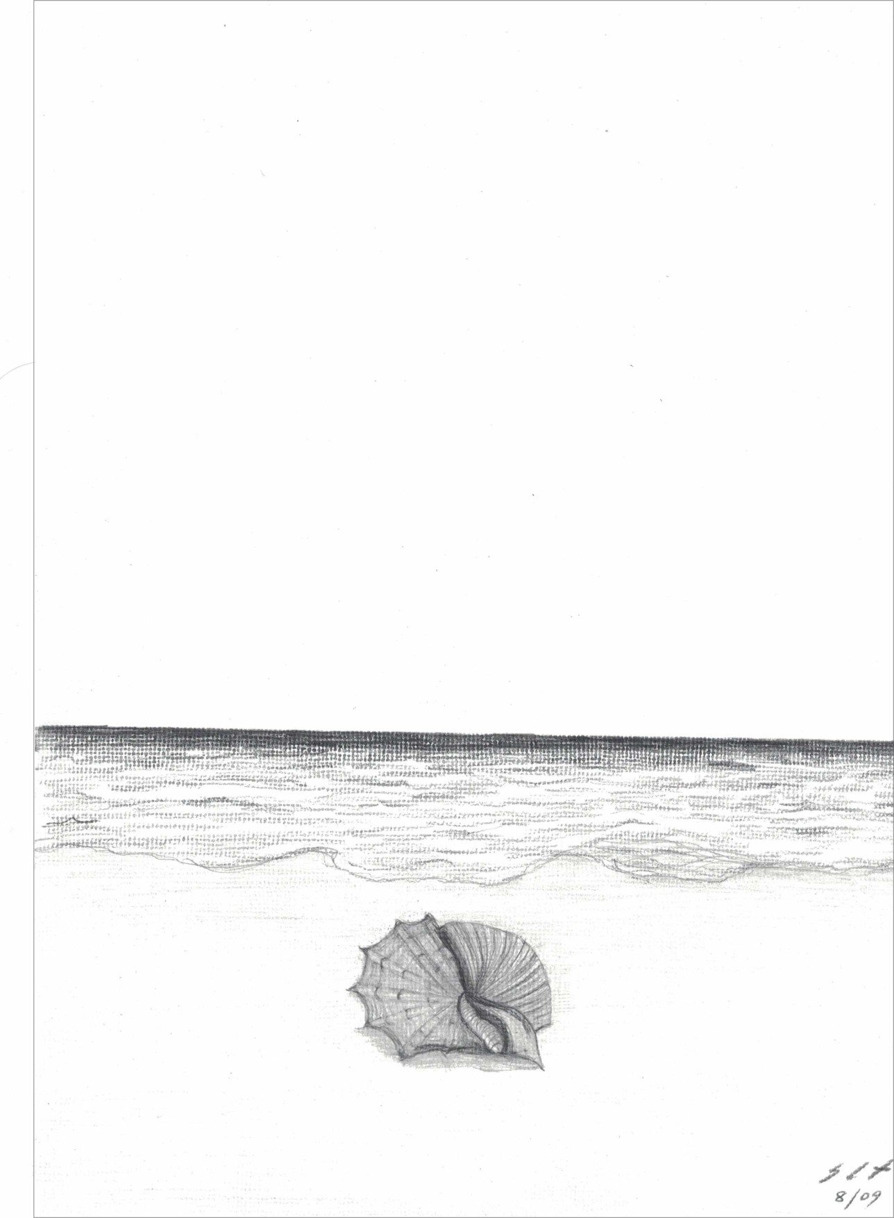 o_mistério_da_concha_desenho